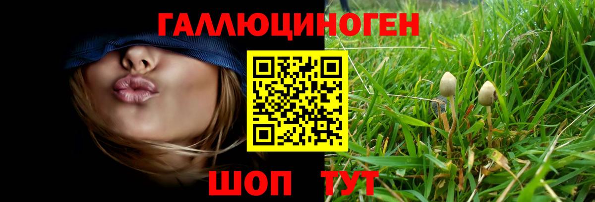 Галлюциногенные грибы мухоморы  Галлюциногенные грибы прущие грибы  Будённовск  Вход с VPN 